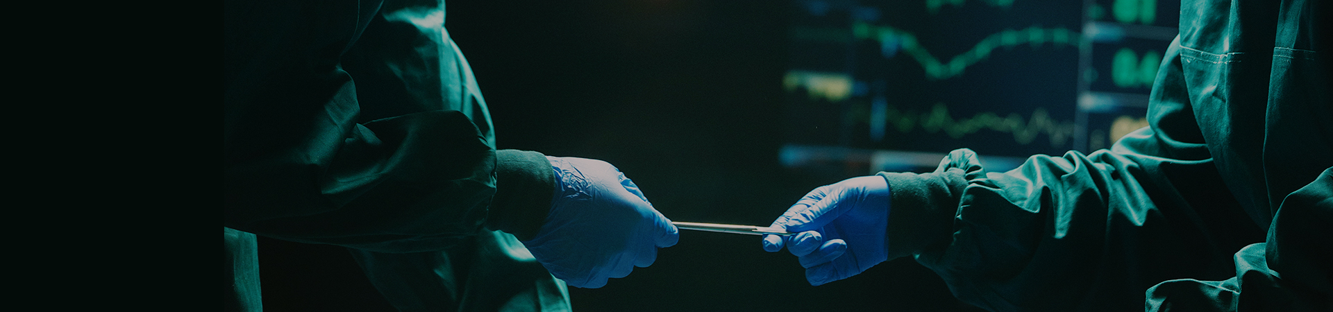 아름다움의 시작